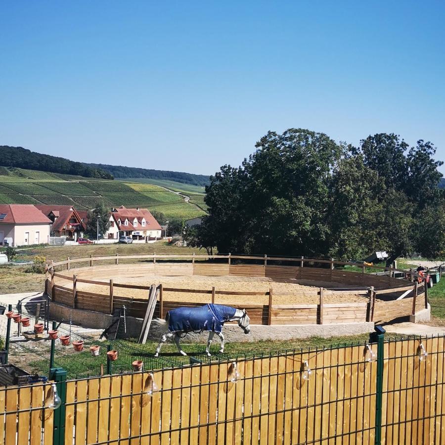 Fleury-la-Riviere La Galipette, Charmant Chalet En Champagne المظهر الخارجي الصورة