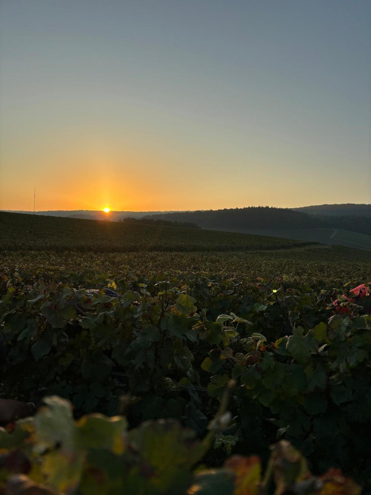 La Galipette, Charmant Chalet En Champagne Fleury-la-Riviere المظهر الخارجي الصورة